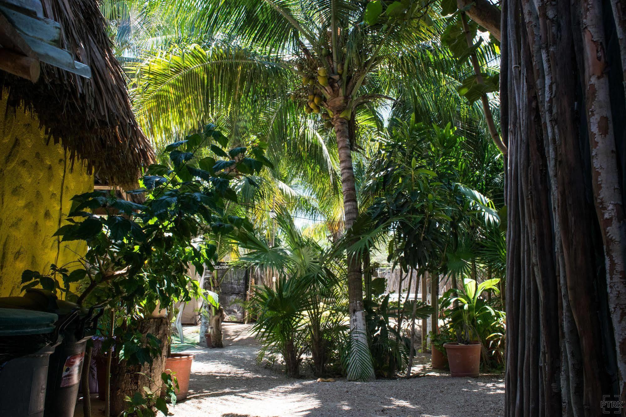 Casa Maya Holbox Exterior photo